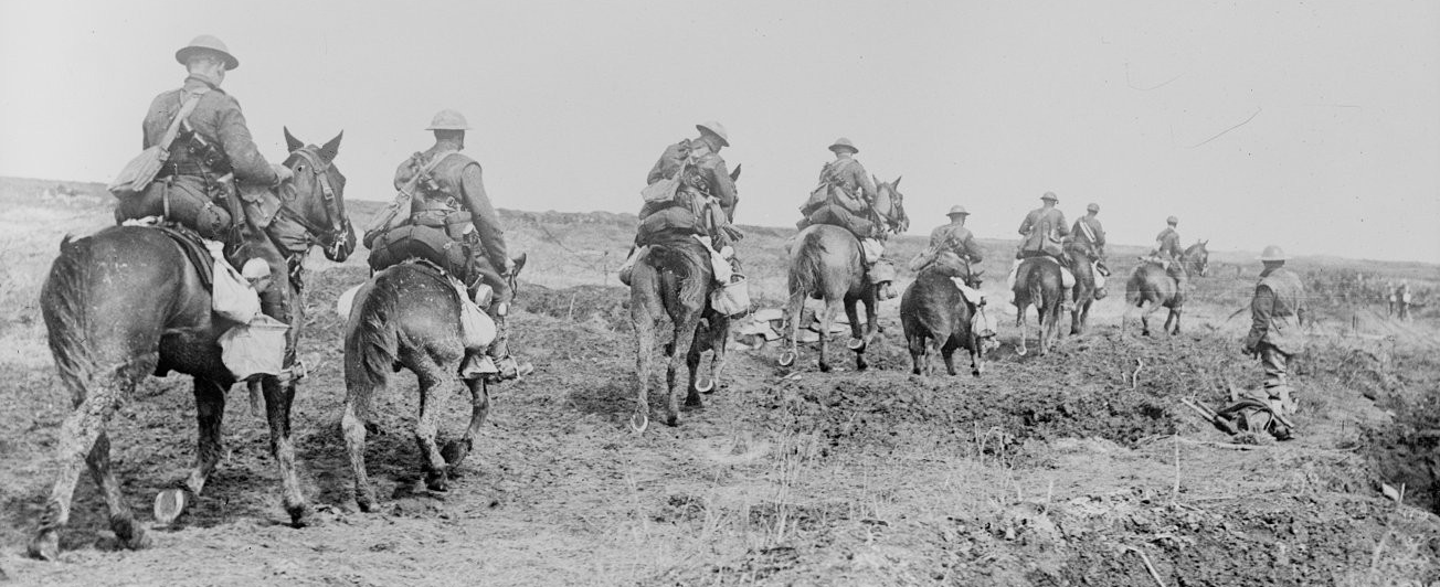 Les animaux dans la Première Guerre mondiale