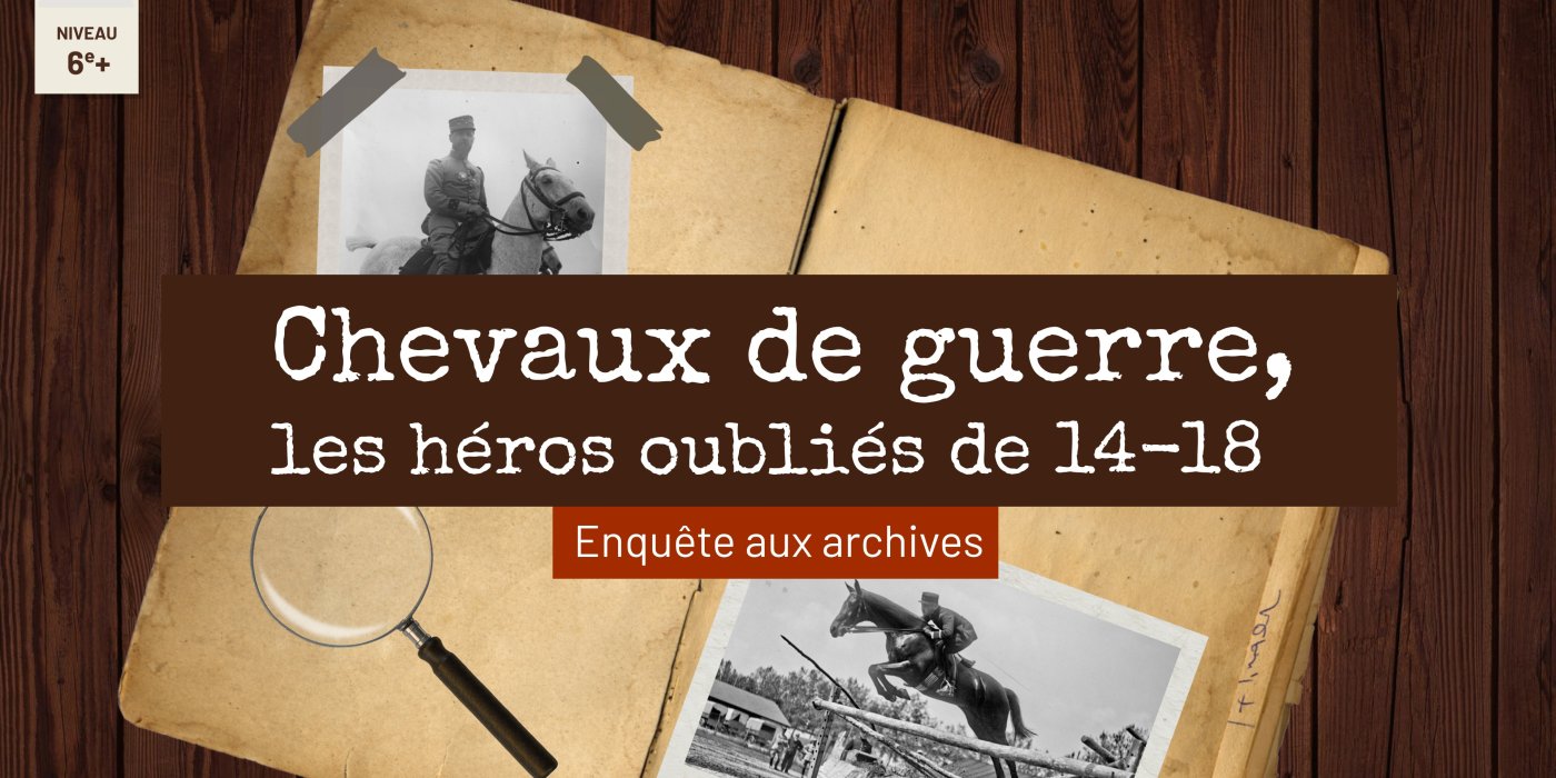 Chevaux de Guerre, les héros oubliés de 14-18