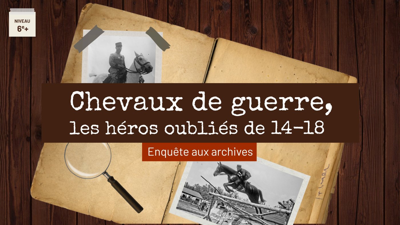 Chevaux de Guerre, les héros oubliés de 14-18