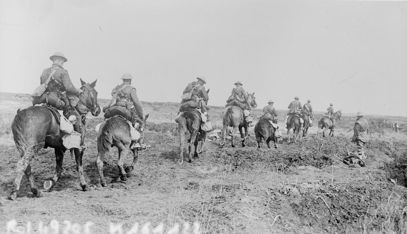 « Chevaux de Guerre », une enquête au cœur des archives